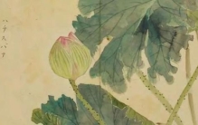 《诗经》里的植物（四）：草木里的兴观群怨（续）