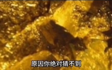 世界上最孤独的金矿，满地黄金为啥无人敢挖？