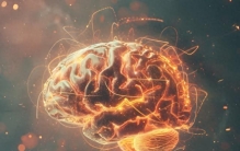 人类大脑的可塑性：神经科学的前沿发现