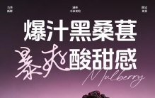 性价比高的标准化果茶料包排名