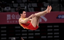 张博恒、邓娅兰首夺单项冠军 刘洋“世界最高难度”
