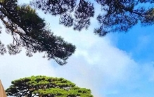 我国十大自然景观排名，这些自然景观你都去过了吗？