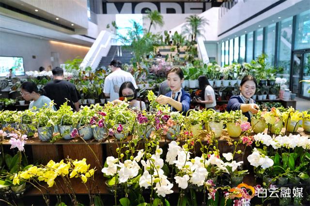 超万盆绿植、200 余个品种!快来白云打卡这片都市丛林