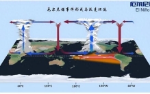最高51度，超级厄尔尼诺预警：今年多国高温与它有关？影响多大？