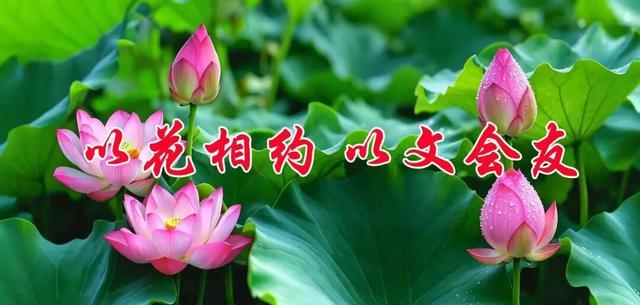 海棠‖西瓜藏着世间诱惑的真相:诱人之物,多是捆住你的牢笼