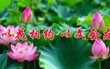 海棠‖西瓜藏着世间诱惑的真相：诱人之物，多是捆住你的牢笼