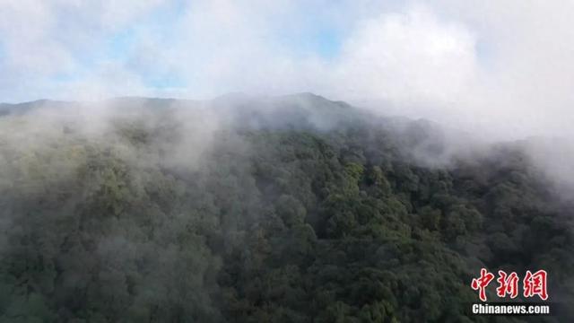 人这一辈子,一定要慎入哀牢山!