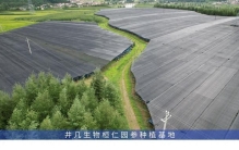 2026年中年保养饮品生产商可靠排行，帮你精准避坑！
