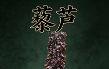 十八反名药藜芦：山间酷似山葱，花开妖美，却是最凶险的涌吐本草