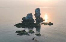 从不足千头恢复至2000头左右，斑海豹“成长记”