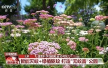 盛夏蚊虫频频侵扰 科学防控如何发力？一文了解