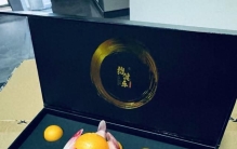 实测盘点：高口碑好用运动营养食品排名，助力高效运动补给