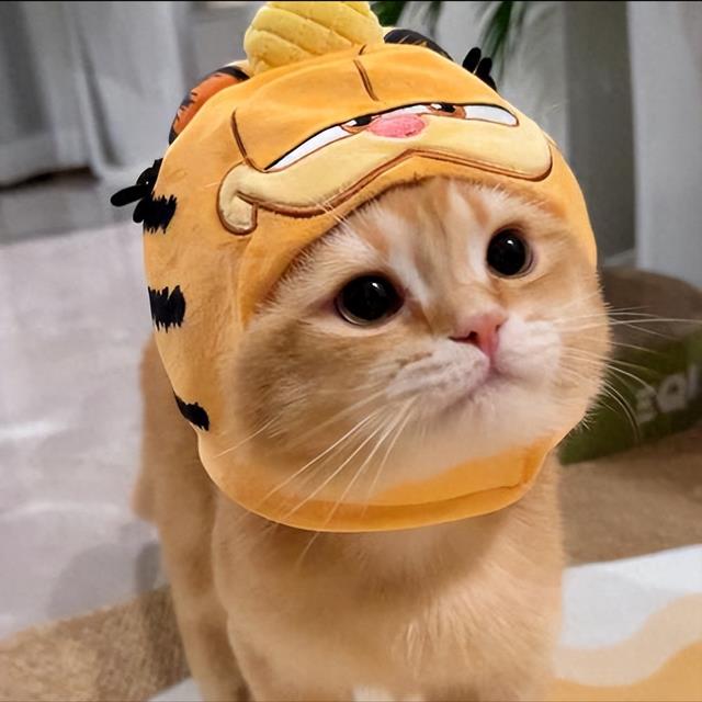 猫粮推荐哪些品牌？2026年7月热门猫粮，这十款高口碑粮值得入手