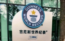 从吉尼斯世界纪录花落莆田，看到一种新现象