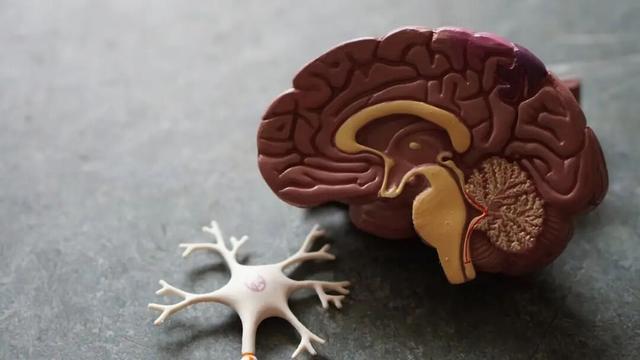 全球最贵的"一针"：科学家为6岁女孩造了一款药，她没能撑过去