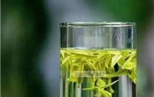 绿茶排名食物链顶端 健康饮品