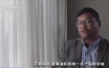 为彻底停止柴油进口，印尼开始强制要求柴油中混掺50%生物燃料