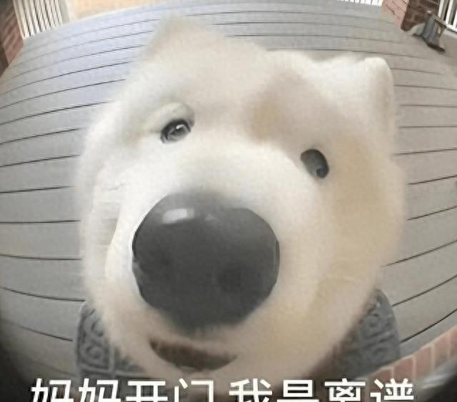 那些离谱又真实的“奇闻怪事 ”