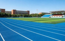 学校塑胶跑道采购推荐：2026十大品牌怎么选？