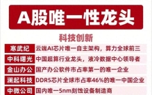 核心科技：唯一性龙头+50大顶级公司，含芯片半导体与固态电池