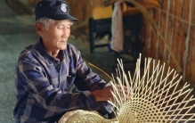 毛竹，世界上生长最快的植物，一天长1.1米，60天长成大树！