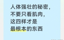 人体强壮的秘密，不要只看肌肉，这四样才是最根本的东西