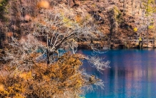 外国博主挤着来打卡的中国 10 大山水秘境！个个惊艳世界，去过一半太牛了