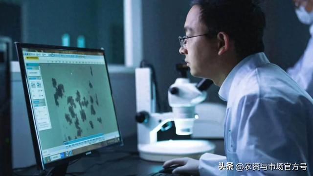 从油菜花里走出植物调控大师:成都新朝阳以生物科技重塑绿色农业