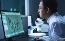 从油菜花里走出植物调控大师：成都新朝阳以生物科技重塑绿色农业