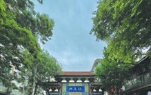 大连沙河口区未来五年重点区域，这四大片区才是真正的发展风口