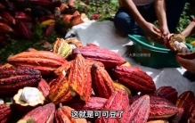 据说它是世界上最脏的食物之一