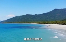 4个世界上最危险的旅游地，人关在笼子里让鳄鱼围观？