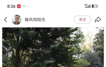 姚凌的退让智慧，是任正非商业帝国最隐秘基石