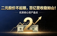 二元股价不起眼，百亿营收稳如山！优质核心资产盘点