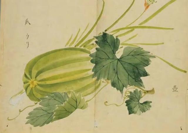《诗经》里的植物(六):祭祀——宗庙献祭的圣洁之物