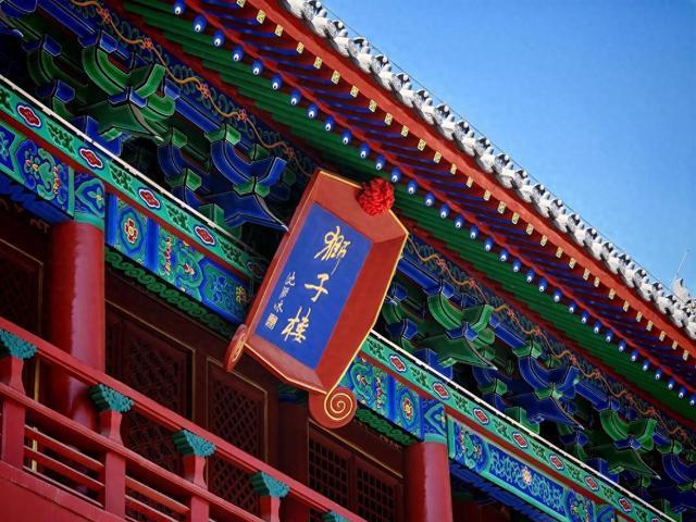 阳谷三大怪，你知道吗？