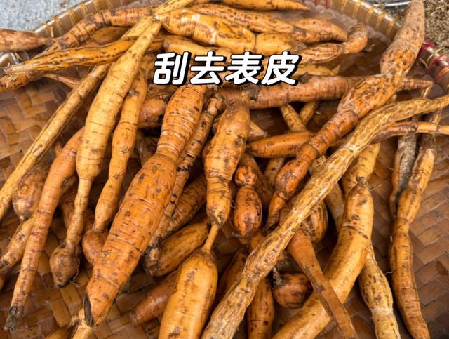这种植物的根煲汤喝，力壮如牛，俗称“牛大力”，南方经典煲汤食材，遇到留意了！