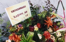 双向奔赴的热爱，才是娱乐圈最动人的风景