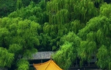 山东的21项世界之最，你知道几个？