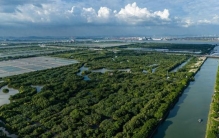 世界上只有中国广州市才有的全球独一无二的10大奇景