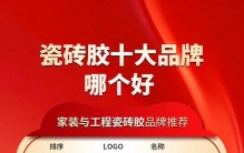 瓷砖胶十大品牌哪个好 家装与工程瓷砖胶品牌推荐