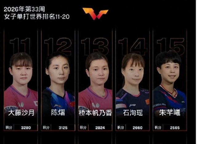 最新世界排名曝光:张本美和有望抵达第二,智和已经回归第四