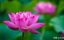 你知道吗:世界上最养人的十件事