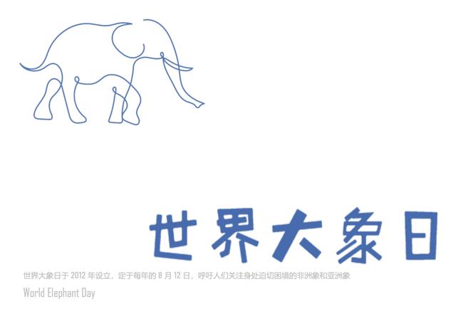 8月12日 大象是世界上最大的陆生动物