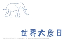 8月12日  大象是世界上最大的陆生动物