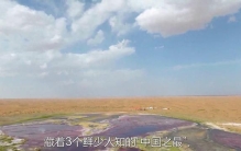 陕西榆林，到底骗了多少人？居然拥有3个中国之最