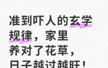 准到吓人的玄学规律，家里养对了花草，日子越过越旺！