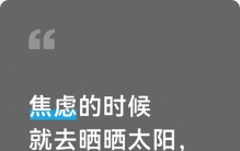 焦虑的时候就去晒晒太阳，植物从不催自己快点长大