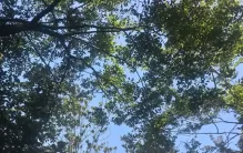 越来越觉得，“为你好”是世界上最自私的话题
