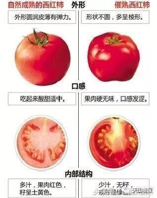 乙烯利既能调节植物生长,又能催熟果实,是什么功能产生两种功效